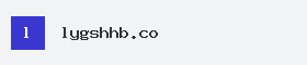 lygshhb.com